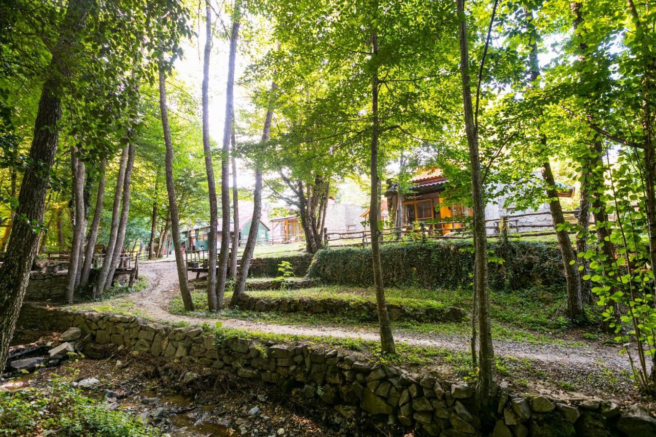Hindiba Doga Evi Hotell Mengen Eksteriør bilde