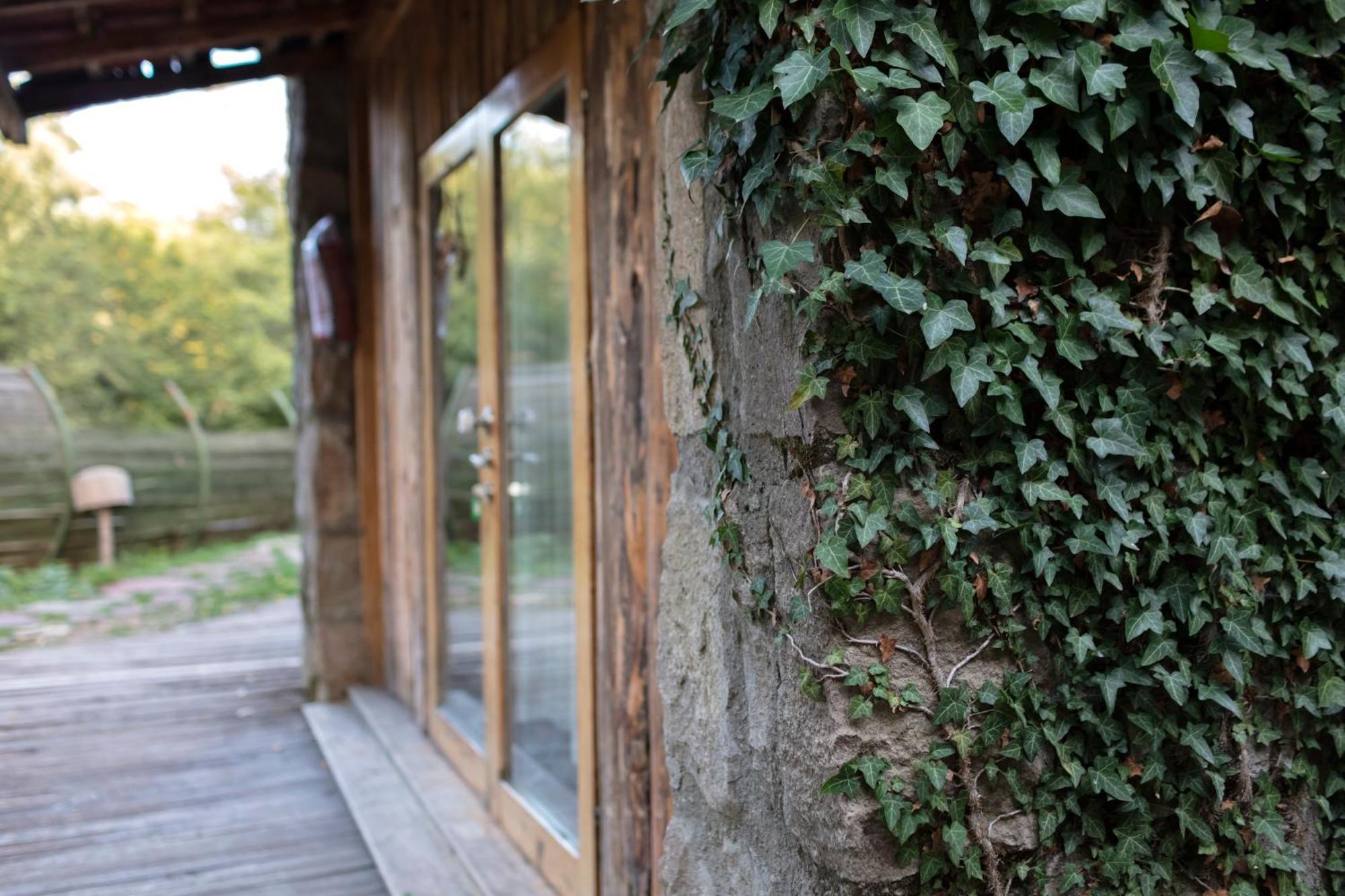 Hindiba Doga Evi Hotell Mengen Rom bilde